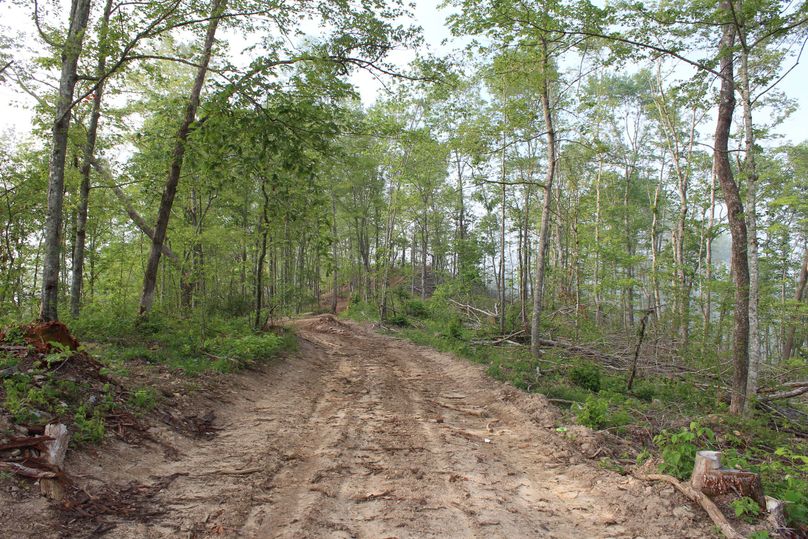 012 network of freshly built roads providing access throughout