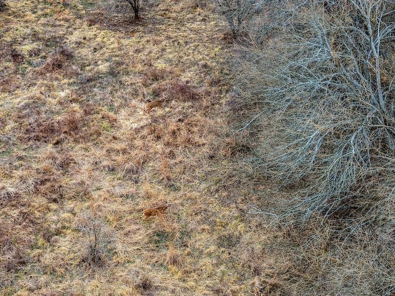 DJI_20260119104226_0717_D