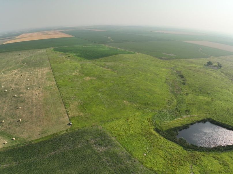 DJI_0356