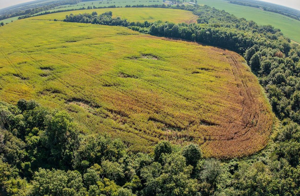 DJI_20250906094630_0031_D