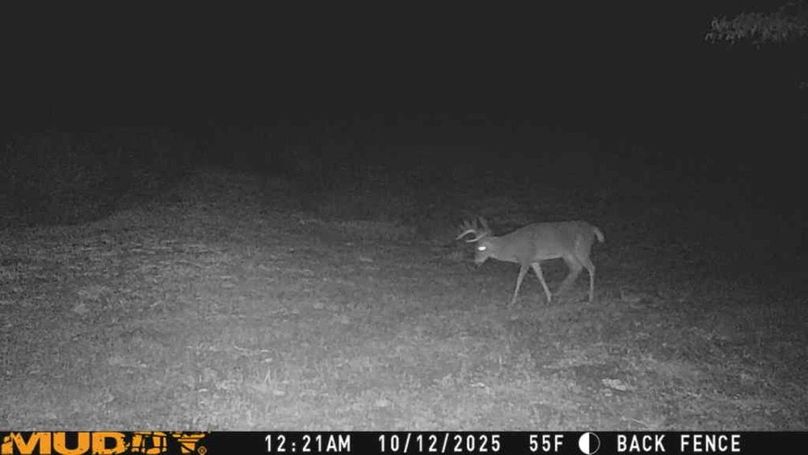 25101200212501000317_ColorizationType.none