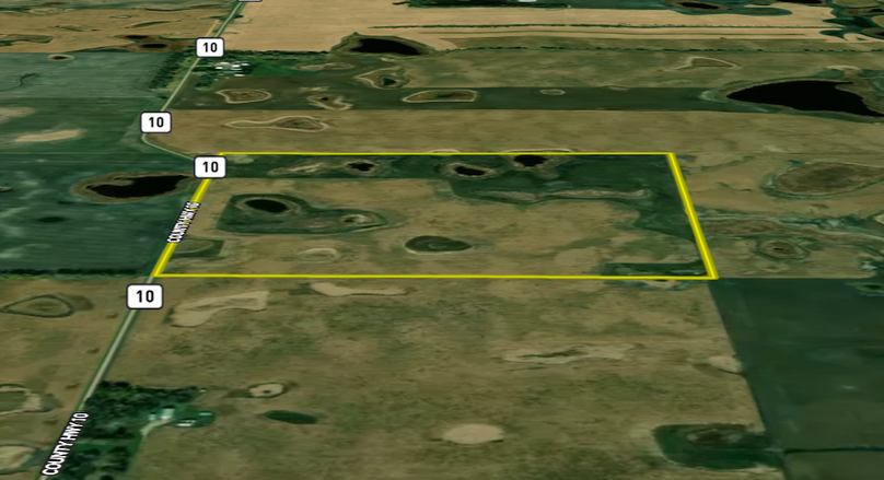 Screenshot 2026-02-17 at 12.17.32 PM