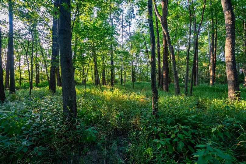 Copy of DSC06245 Large