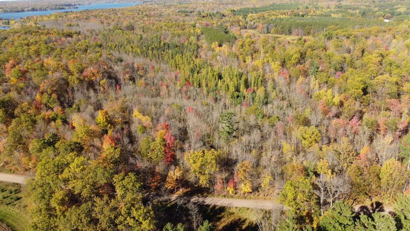 dji_fly_20231015_145306_157_1697399774304_photo_optimized