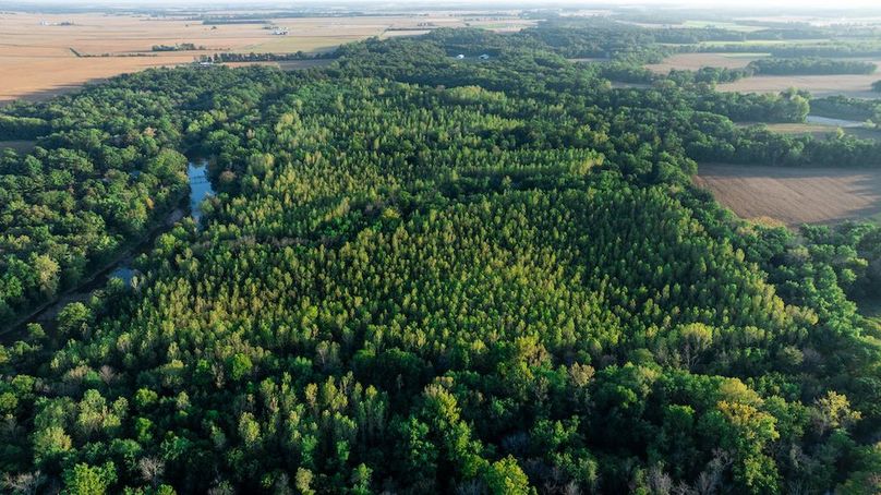 DJI_20250930050520_0007_D