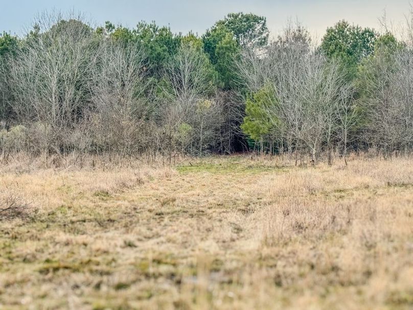 Monroe 80 Driver Dixon (Final Frontier) -19