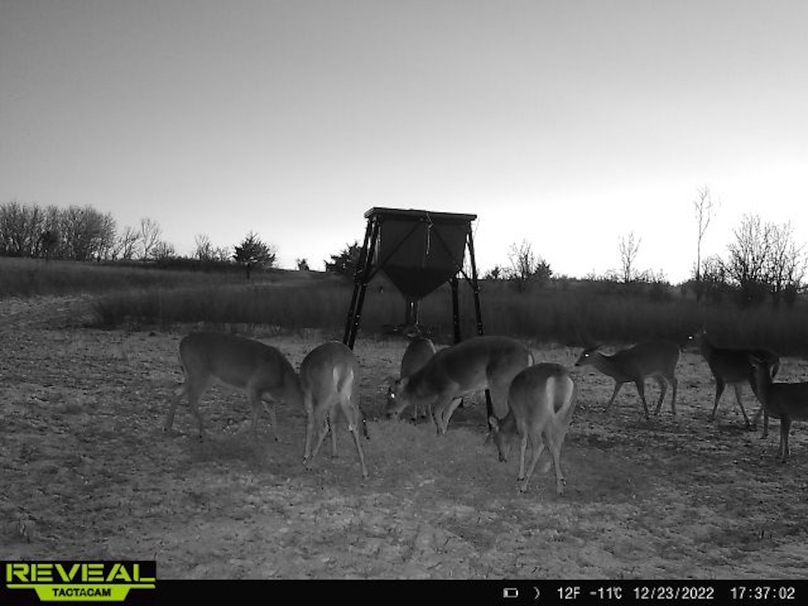 72b83ac0-a8bb-41ba-be8f-2b6c7b7531d2