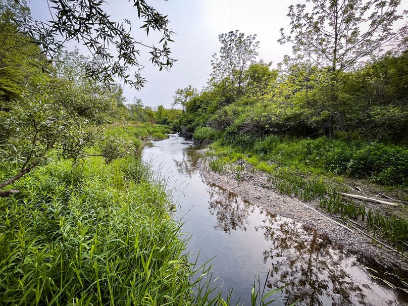 Ontatio_73.3_Green Photo 43