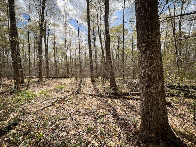 Tioga_76.65_Matyjas_Photos_29