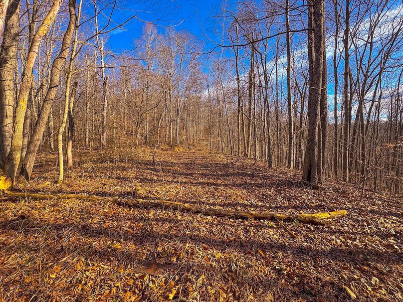 Lewis, WV 82.87 AC Barger-21