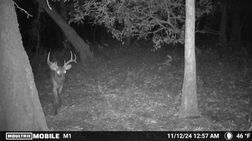 1688612-20241112065834-100MFCAM_MFDC0092