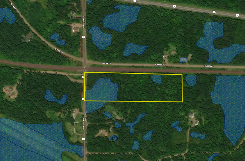 TBD Canosia Rd. Wetland Layer