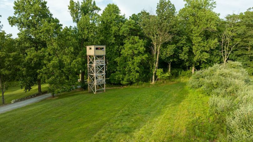 Orvis Listing Photos34