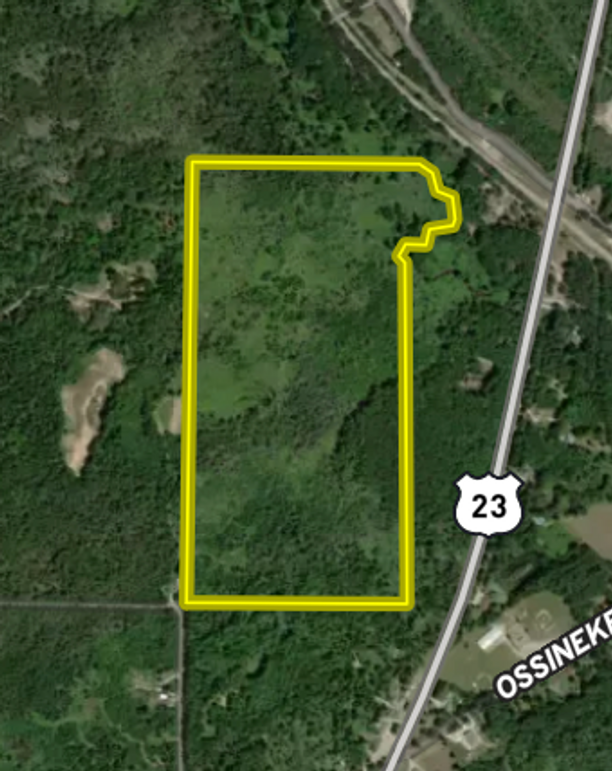 Screenshot 2024-07-09 at 2.05.11 PM