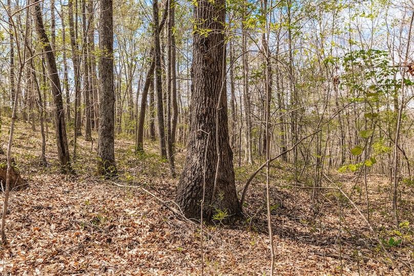 44-web-or-mls-0 Mound Creek Rd-14