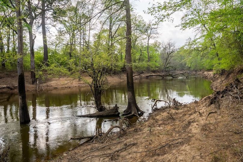 79 Marion TX 143 and 117 Featured_ProPhoto-2