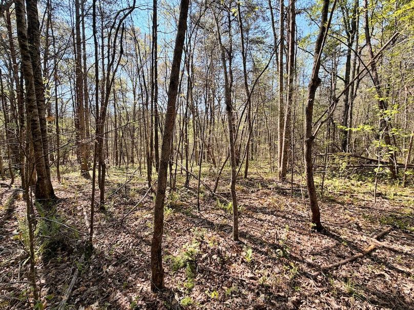 Monroe Co TN 44.66 Bolton_091