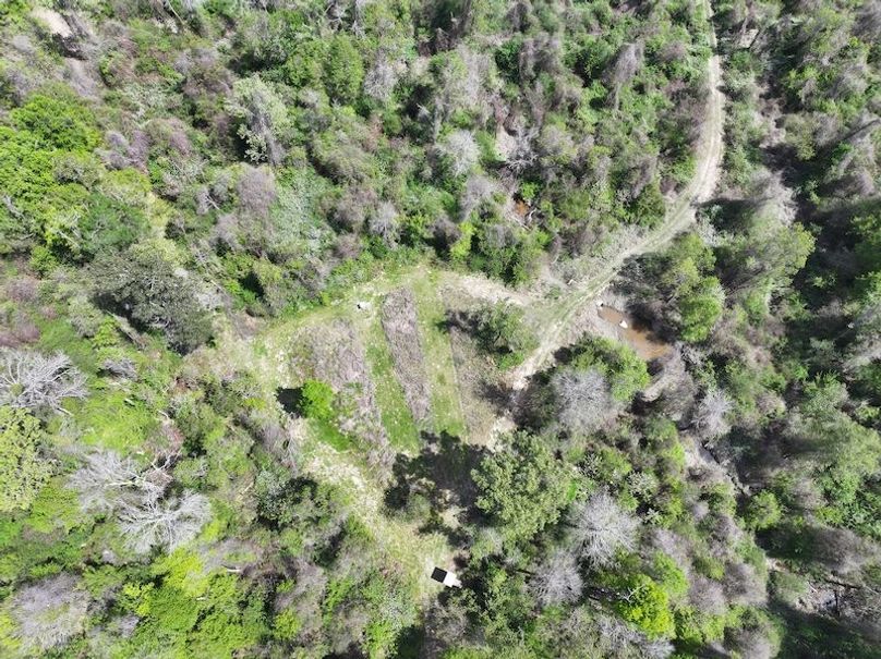 dji_fly_20260327_124150_0032_1776088024092_photo