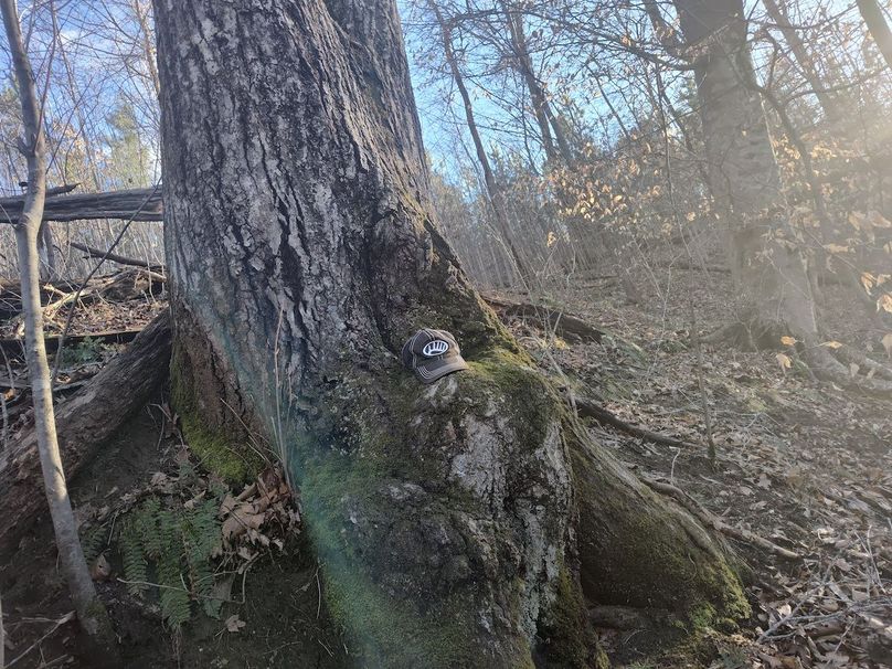 IMG_20240302_165200109_HDR