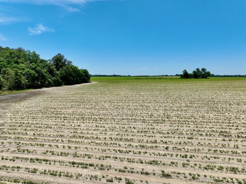 dji_fly_20250521_144938_895_1747853587724_photo