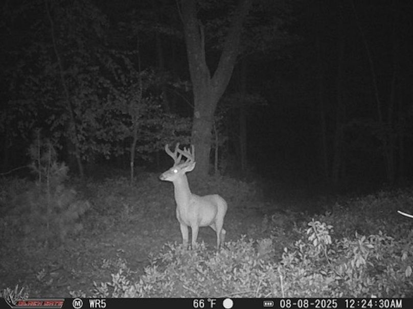 EE01758F-0F68-4B0E-BCA7-5D1906B23BF5_4_5005_c