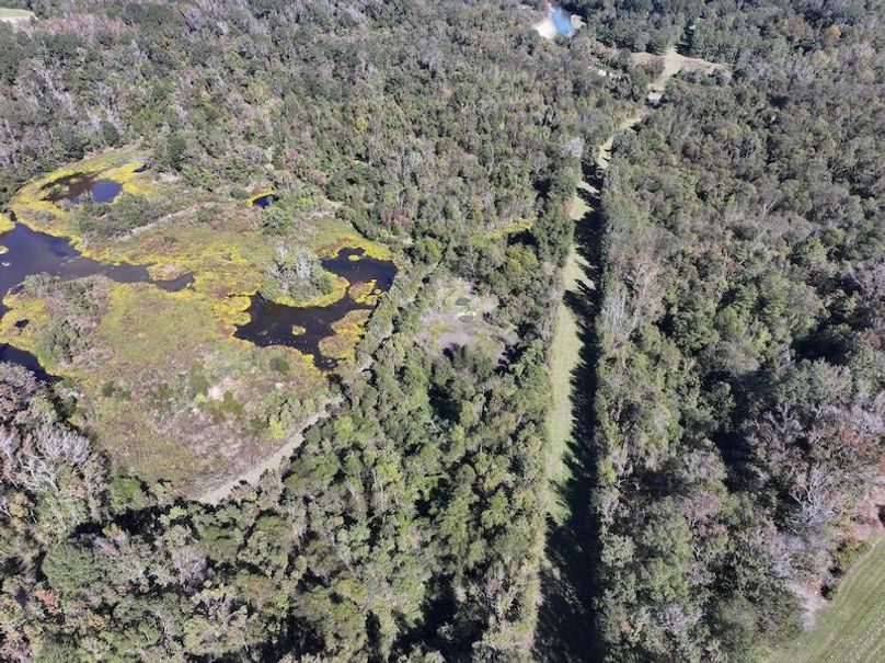 dji_fly_20251103_133830_0690_1762362217390_photo