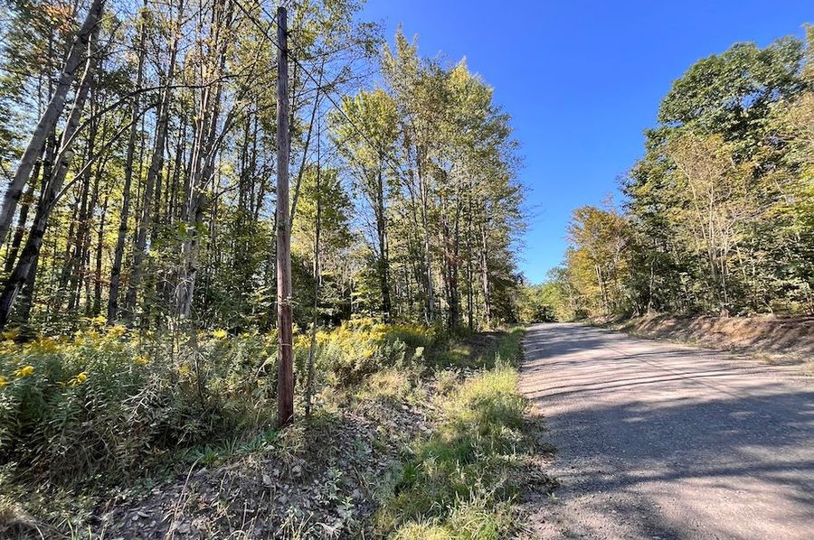 Chemung_10.725_Rouseland_Lot6_Photos_5