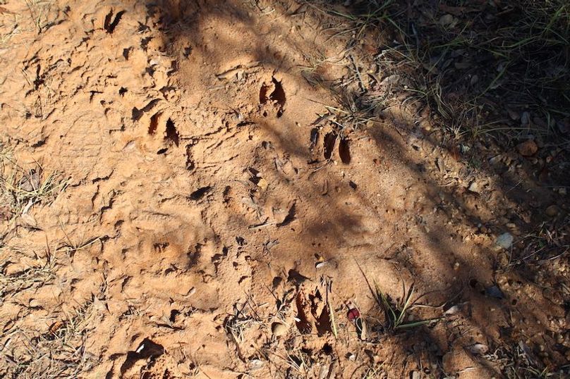 4FD90260-0227-46AE-A9F4-AFBAC468A901