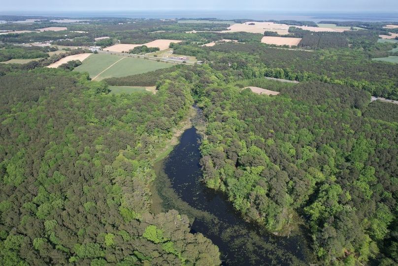 DJI_0213