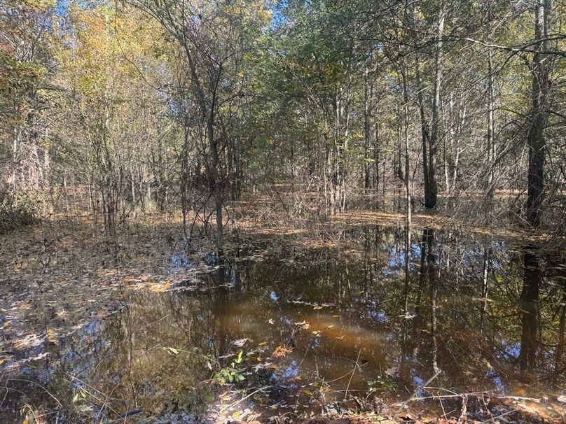 1a1 jeff 8320251111_0262