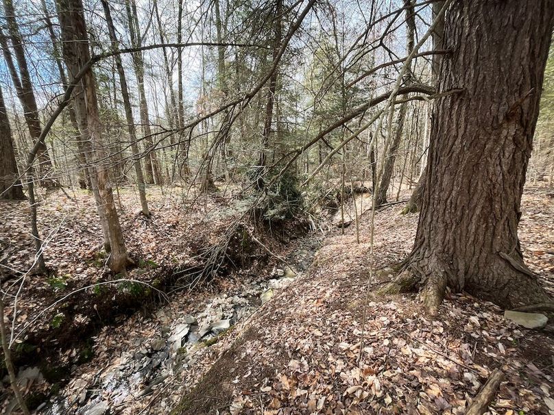 Tioga_76.65_Matyjas_Photos_40