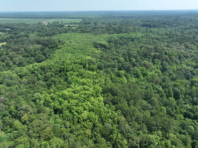 dji_fly_20230530_111532_139_1685483372734_photo