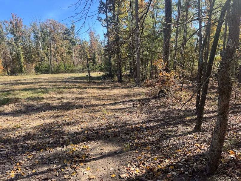 jeff 5020251111_0312