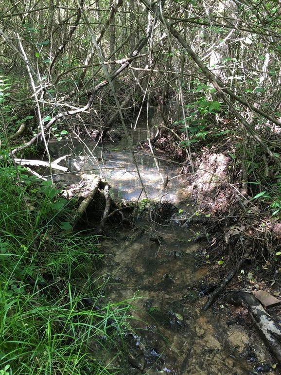 0BB3FF84-31CD-46BD-B32D-617315057260_1_105_c