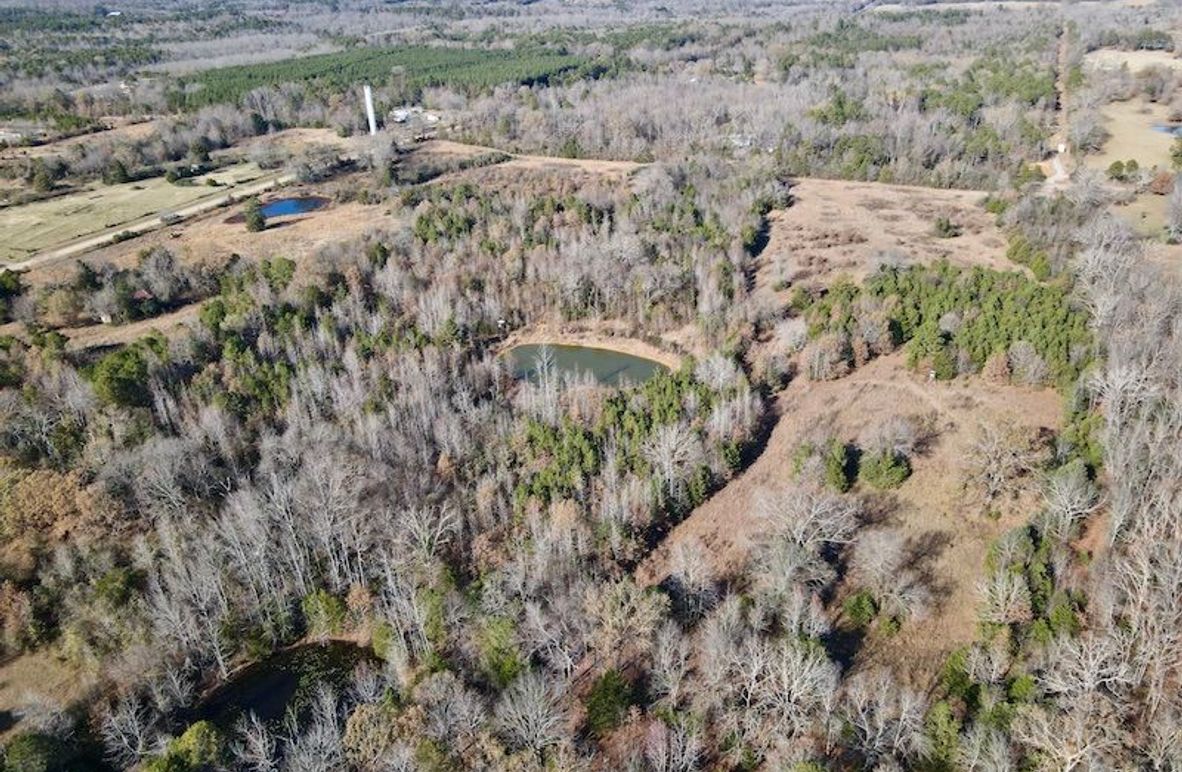 dji_fly_20251130_130710_872_1764614999989_photo