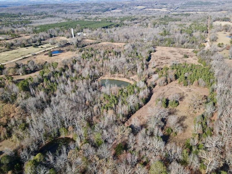 dji_fly_20251130_130710_872_1764614999989_photo