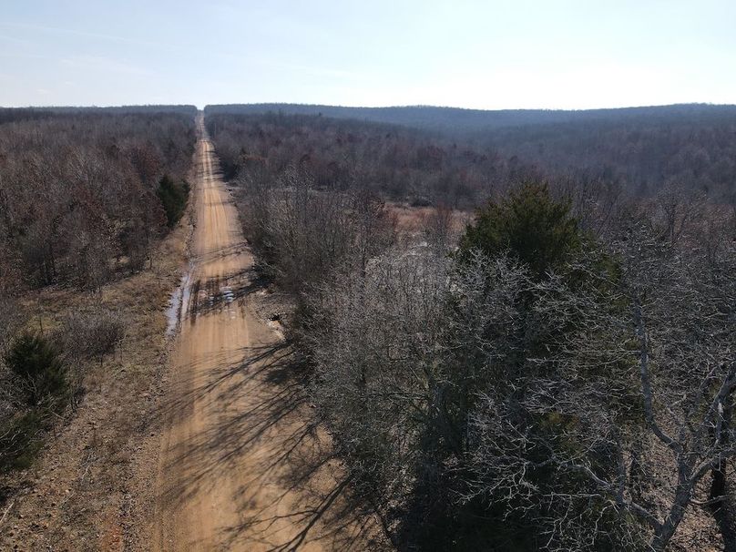 dji_fly_20250213_142034_994_1739478056564_photo