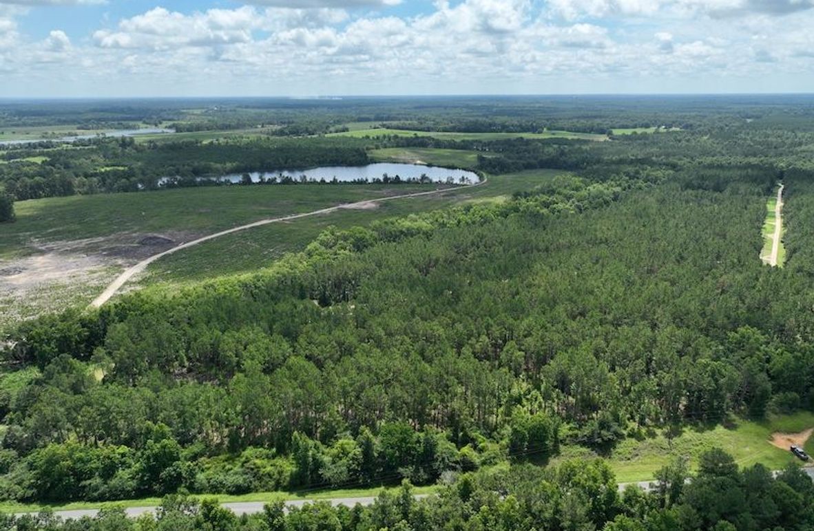 dji_fly_20250619_120112_952_1750349273421_photo