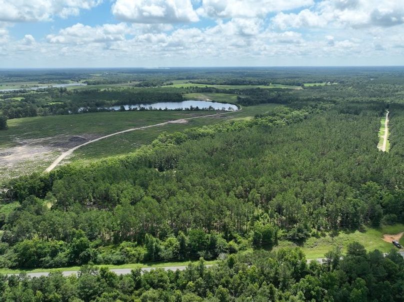 dji_fly_20250619_120112_952_1750349273421_photo