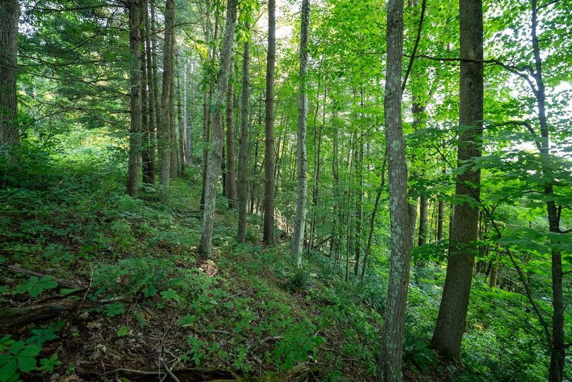 Wetzel WV 171 Featured_Pro Photo-42