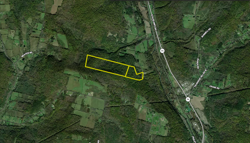 Tioga NY 86.705 Capwell Landid_5