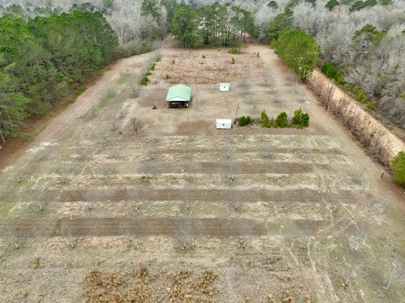 dji_fly_20260210_114440_273_1770741939761_photo