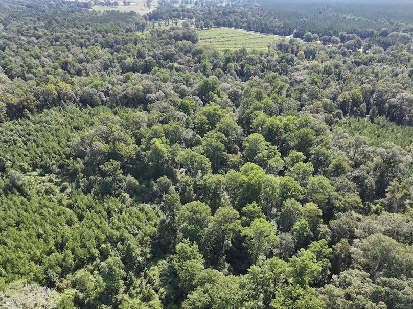 dji_fly_20250903_102124_0409_1757089038404_photo