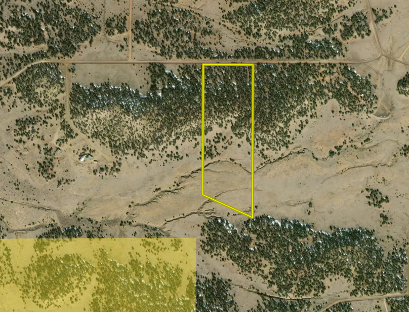 Screen Shot 2024-01-25 at 11.46.06 AM