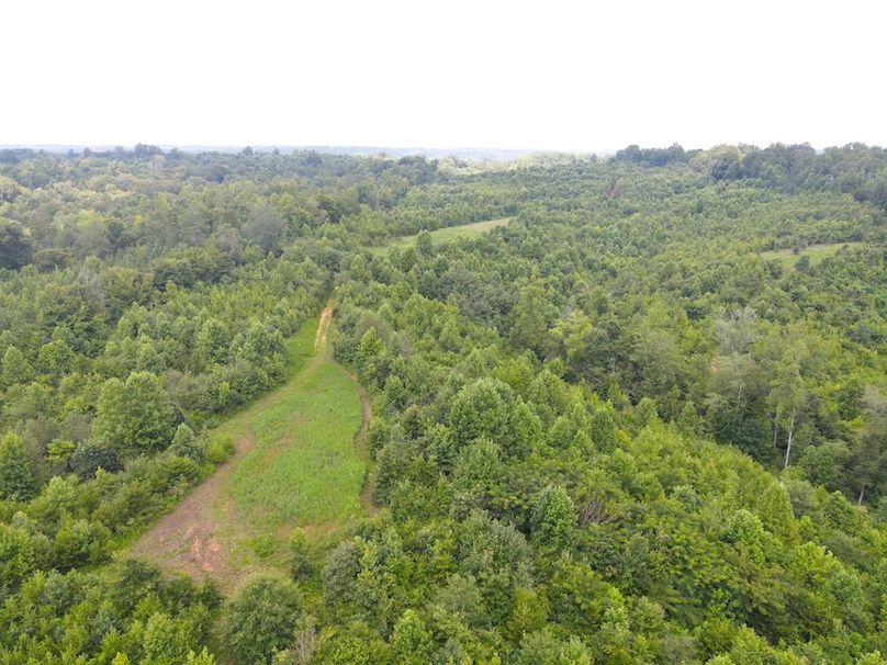 dji_fly_20250729_121936_756_1753806005176_photo