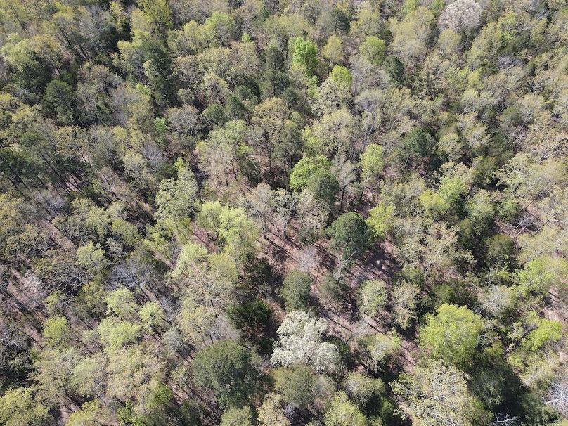 DJI_0303
