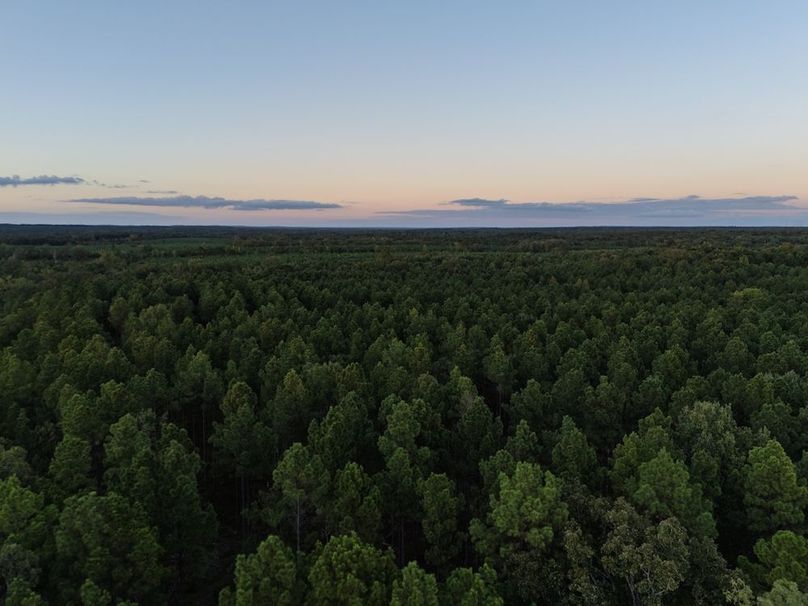 21 Edited Harison co. 206 - Ed Robb-044