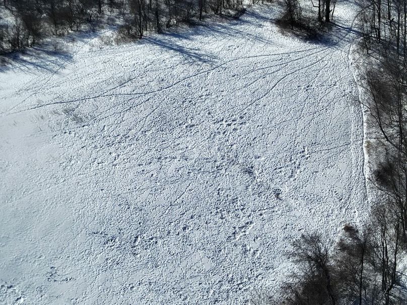 DJI_20260207115218_0010_Z