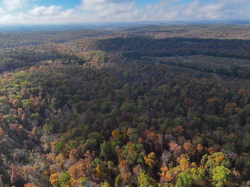 DJI_20251102094301_0816_D