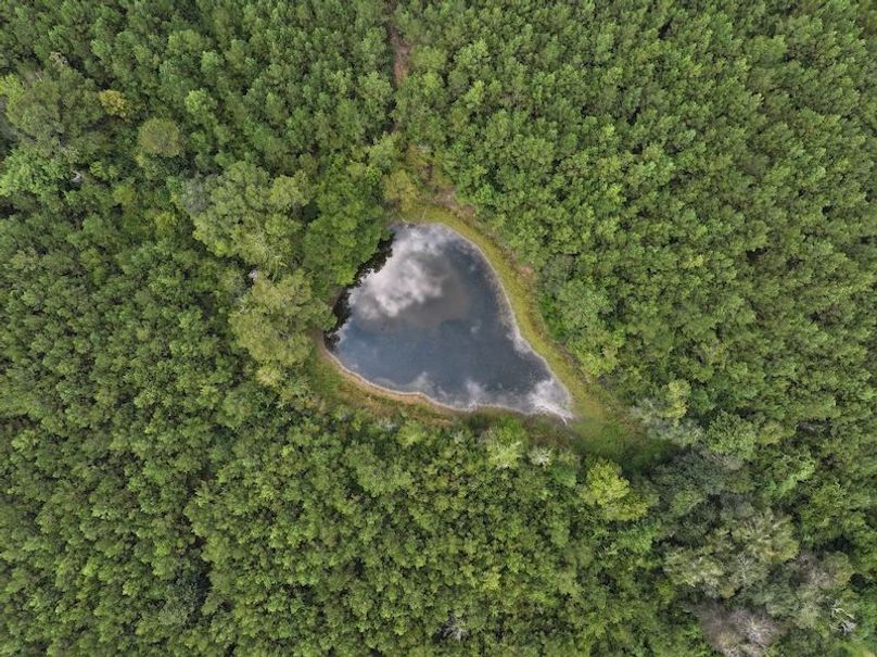 dji_fly_20250915_142804_0461_1758029015622_photo